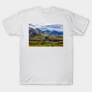 Beauty of Denali T-Shirt